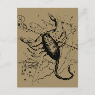 Scorpio Constellation Hevelius circa 1690 Vintage Briefkaart