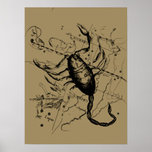 Scorpio Constellation Hevelius circa 1690 Vintage Poster