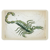 Scorpio Constellation Magneet (Horizontaal)