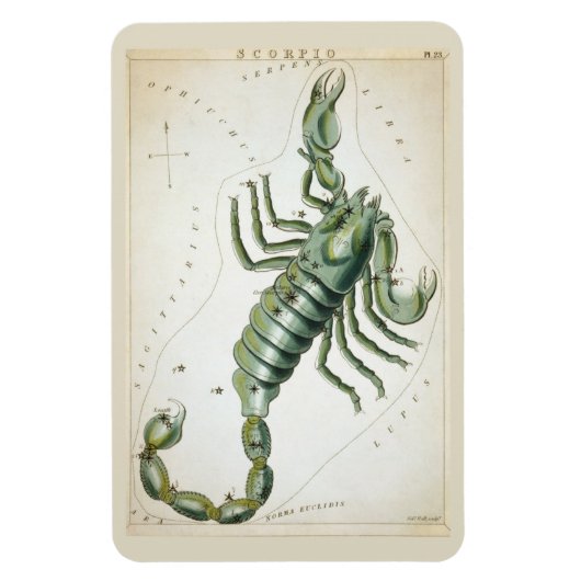 Scorpio Constellation Magneet (Verticaal)