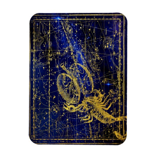 scorpio constellation magnet magneet (Verticaal)