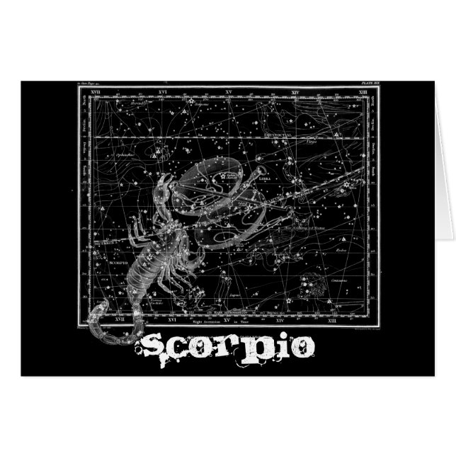 Scorpio, de Scorpion (Voorkant Horizontaal)