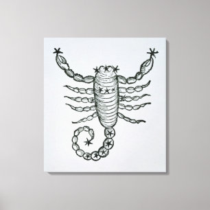 Scorpio (het Scorpion) een illustratie uit het P Canvas Afdruk