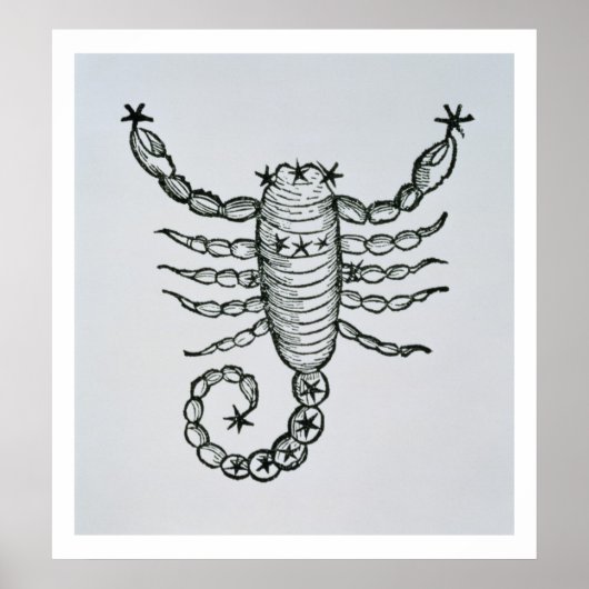 Scorpio (het Scorpion) een illustratie uit het P Poster (Voorkant)