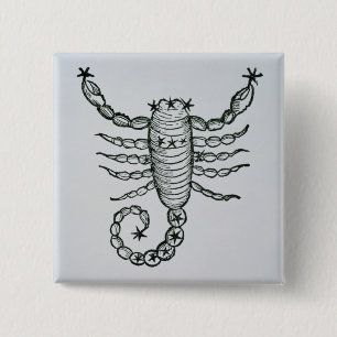 Scorpio (het Scorpion) een illustratie uit het P Vierkante Button 5,1 Cm