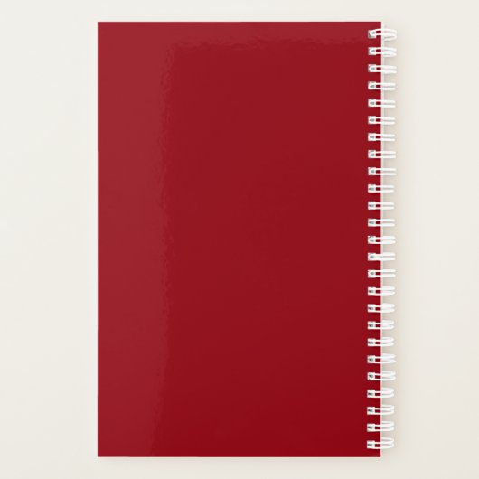 Scorpio Horoscope Planner (Achterkant)