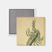Scorpio Magnet (Voorkant / Achterkant)