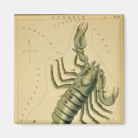 Scorpio Magnet (Voorkant)