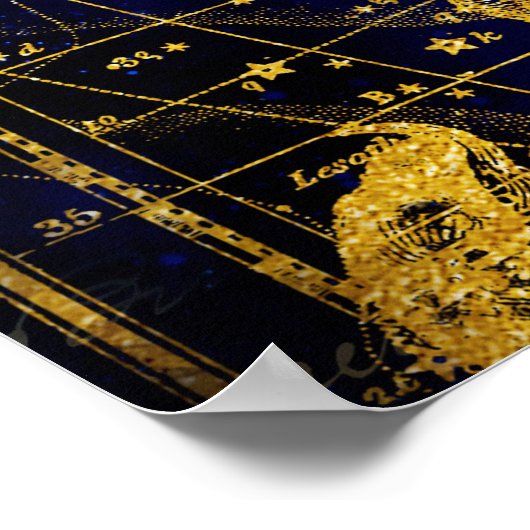 Scorpio Poster (Hoek)