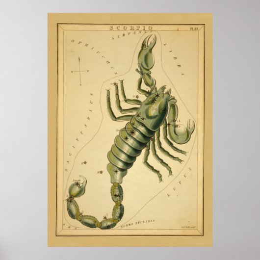Scorpio (Scorpion)  teken van het Afbeelding van d Poster (Voorkant)