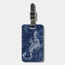 Scorpio Zodiac Sign  Illustratie