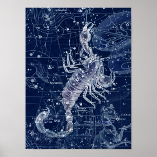 Scorpio Zodiac Sign Illustratie Poster