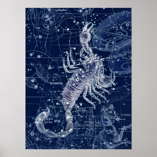 Scorpio Zodiac Sign Illustratie Poster (Voorkant)