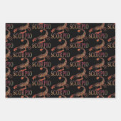 Scorpio Zodiac Symbool Inpakpapier Vel (Voorkant)