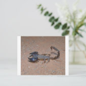 Scorpion Briefkaart (Staand voorkant)