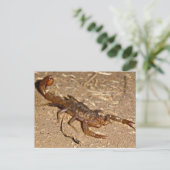 Scorpion Briefkaart (Staand voorkant)