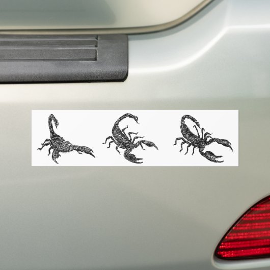 Scorpion Bumpersticker (Op auto)