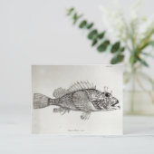 Scorpion Fish Briefkaart (Staand voorkant)