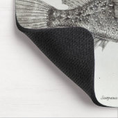 Scorpion Fish Muismat (Hoek)