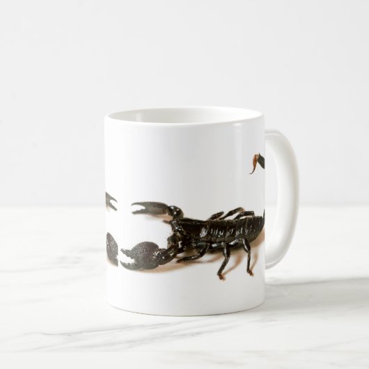 Scorpion Mok keizer (Voorkant rechts)