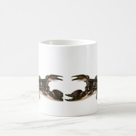 Scorpion Mok keizer (Center)