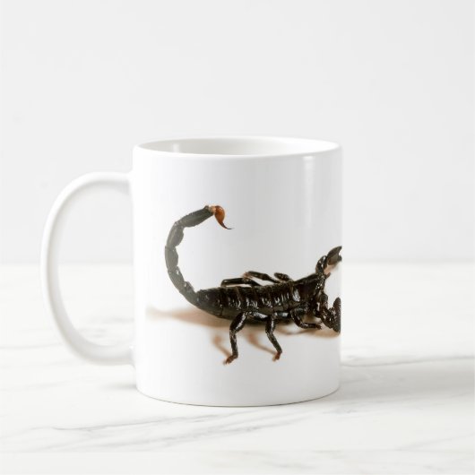 Scorpion Mok keizer (Links)