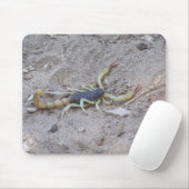 Scorpion Muismat (Met muis)