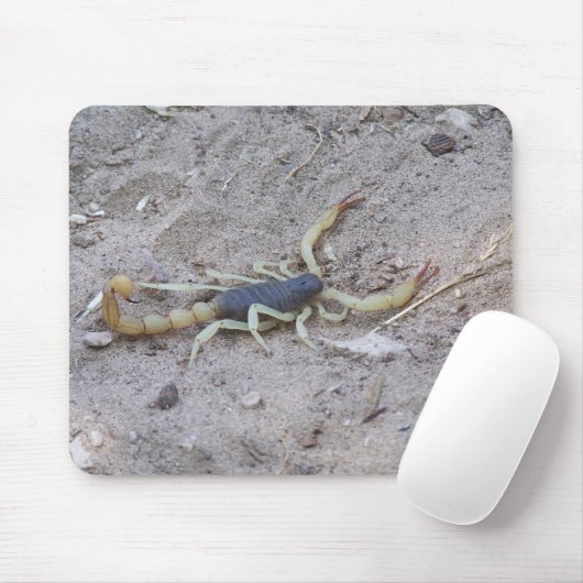 Scorpion Muismat (Met muis)