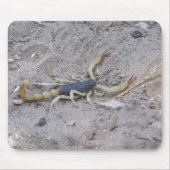 Scorpion Muismat (Voorkant)