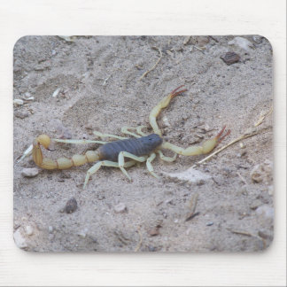 Scorpion Muismat