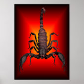 SCORPION OF WAR POSTER (Voorkant)