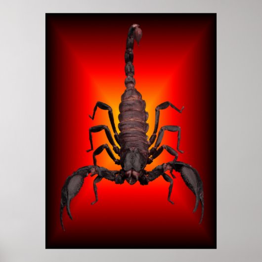 SCORPION OF WAR POSTER (Voorkant)