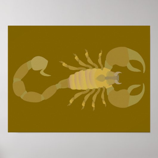 Scorpion Poster (Voorkant)