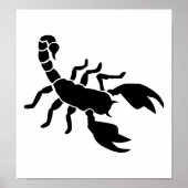 Scorpion Poster (Voorkant)