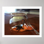 Scorpion Poster (Voorkant)