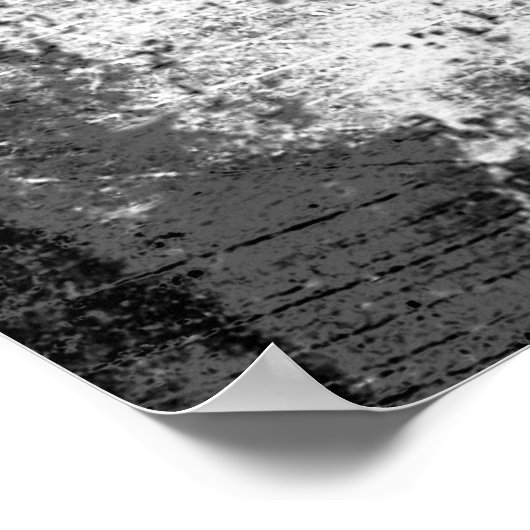 Scorpion Poster (Hoek)