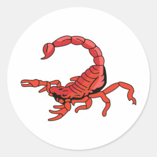 SCORPION RONDE STICKER