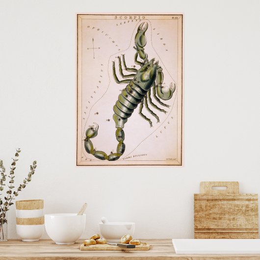 SCORPION SCORPIO CONSTELLATION 1825 POSTER (Keuken)