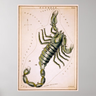 SCORPION SCORPIO CONSTELLATION 1825 POSTER