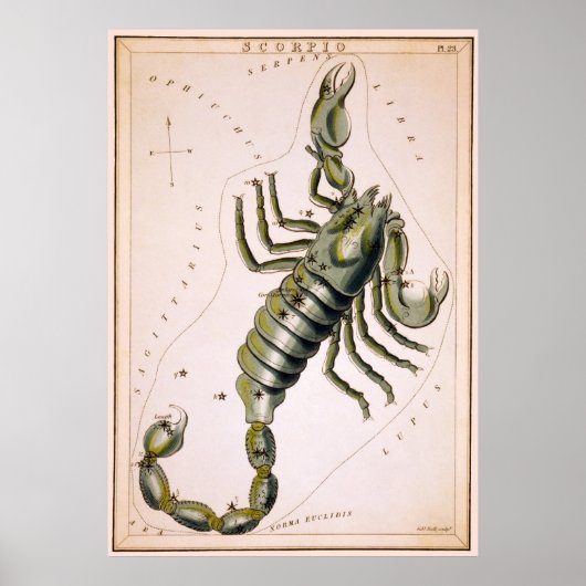 SCORPION SCORPIO CONSTELLATION 1825 POSTER (Voorkant)