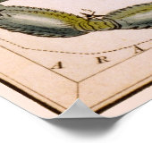 SCORPION SCORPIO CONSTELLATION 1825 POSTER (Hoek)