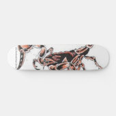 Scorpion Skateboard (Horizontaal)