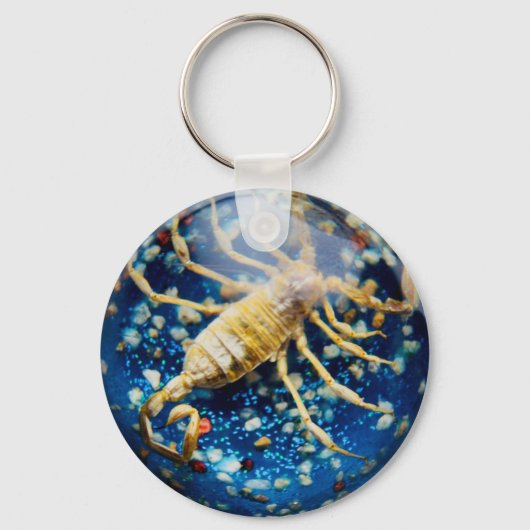 Scorpion Sleutelhanger (Voorkant)