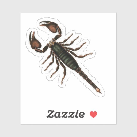 Scorpion! Sticker (Vel)