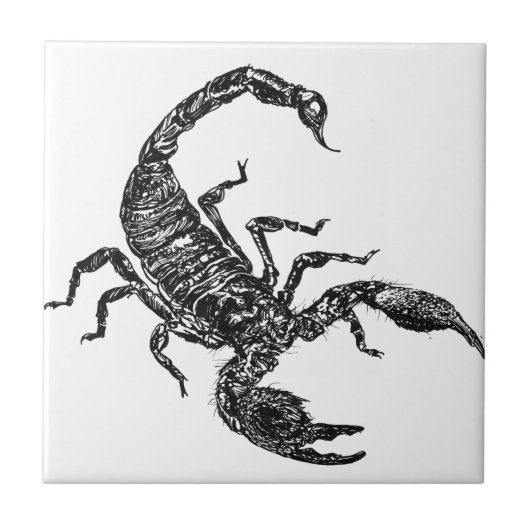 Scorpion Tegeltje (Voorkant)