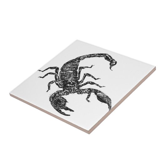 Scorpion Tegeltje (Zijkant)