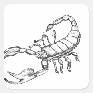 Scorpion Vierkante Sticker