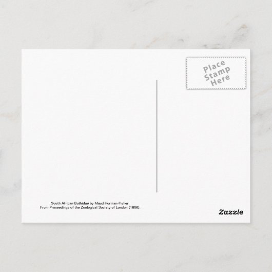 Scorpions Briefkaart (Achterkant)