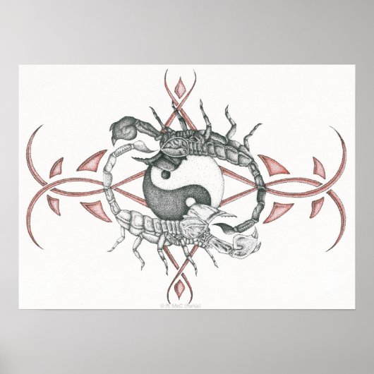 Scorpions van het Poster van het Saldo (Voorkant)