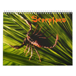 Scorpions Wall Agenda Kalender